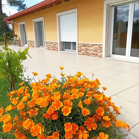 Casa Virginia Appartement Ouzenda Buitenkant foto