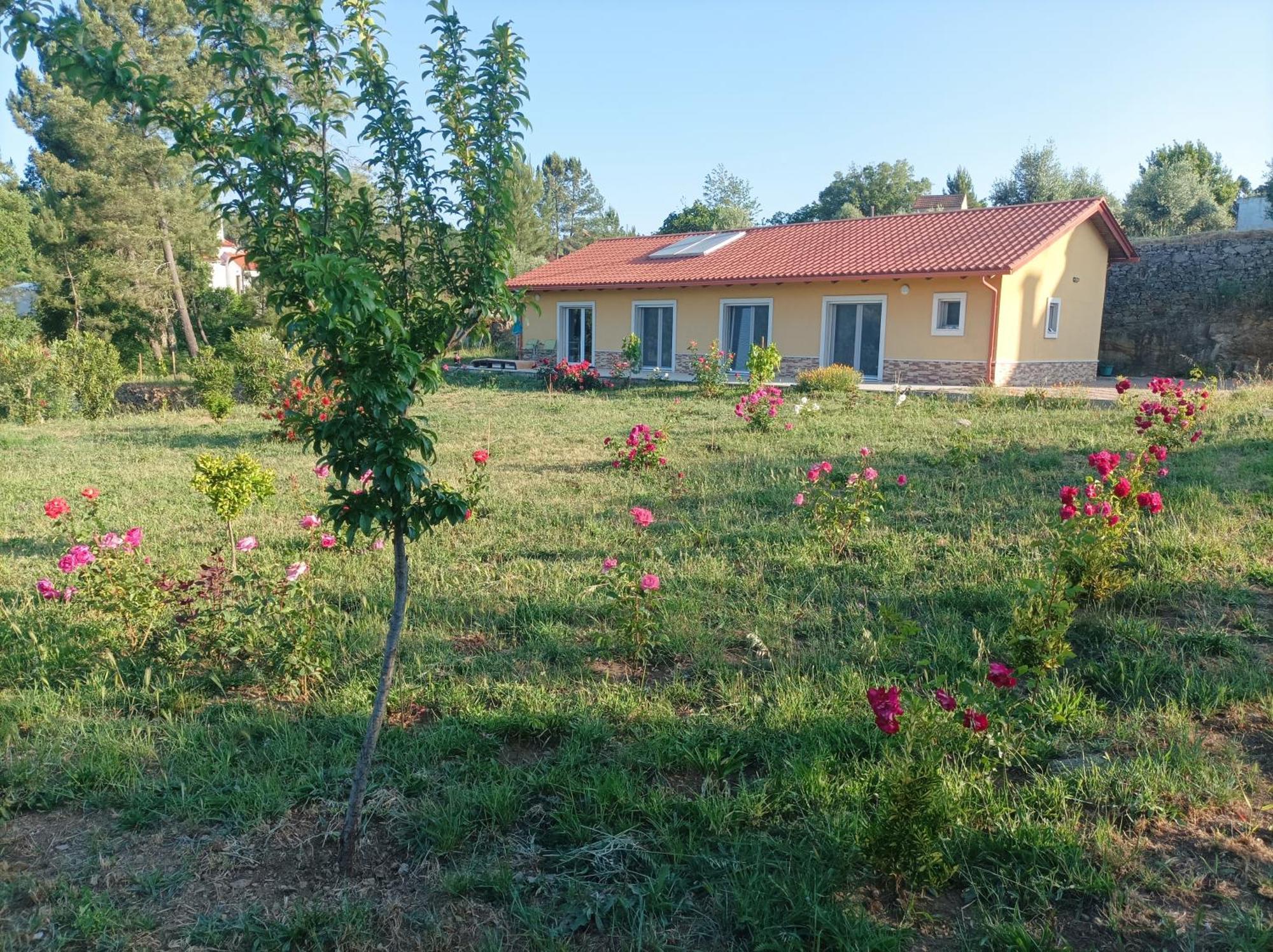 Casa Virginia * Ouzenda
