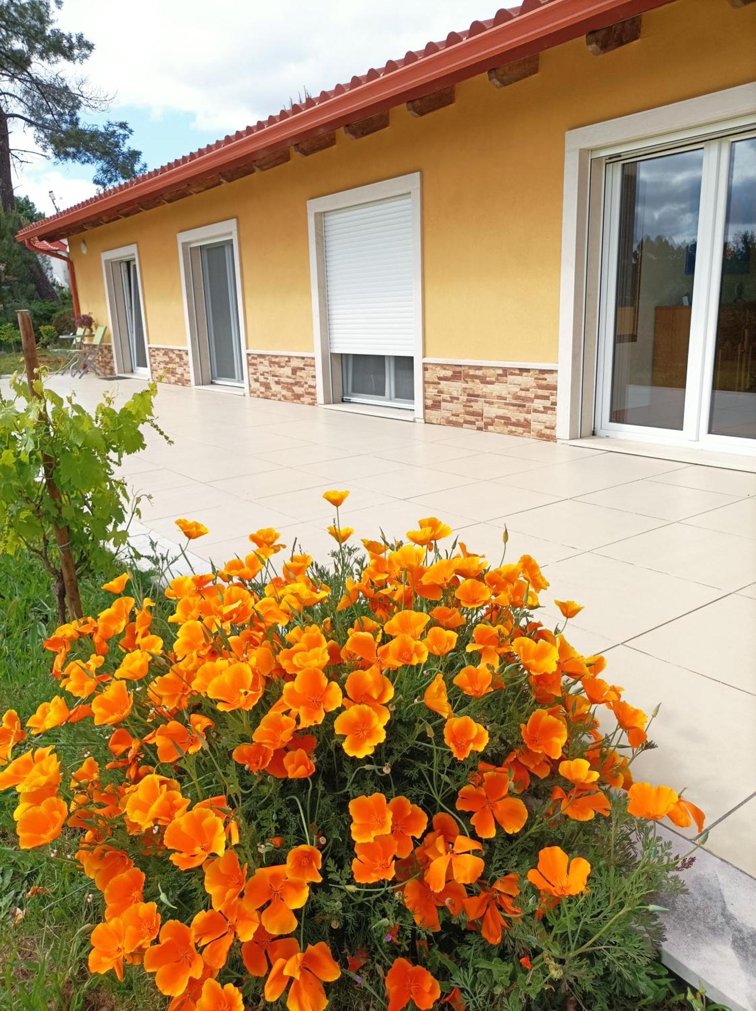 Apartment Casa Virginia Ouzenda