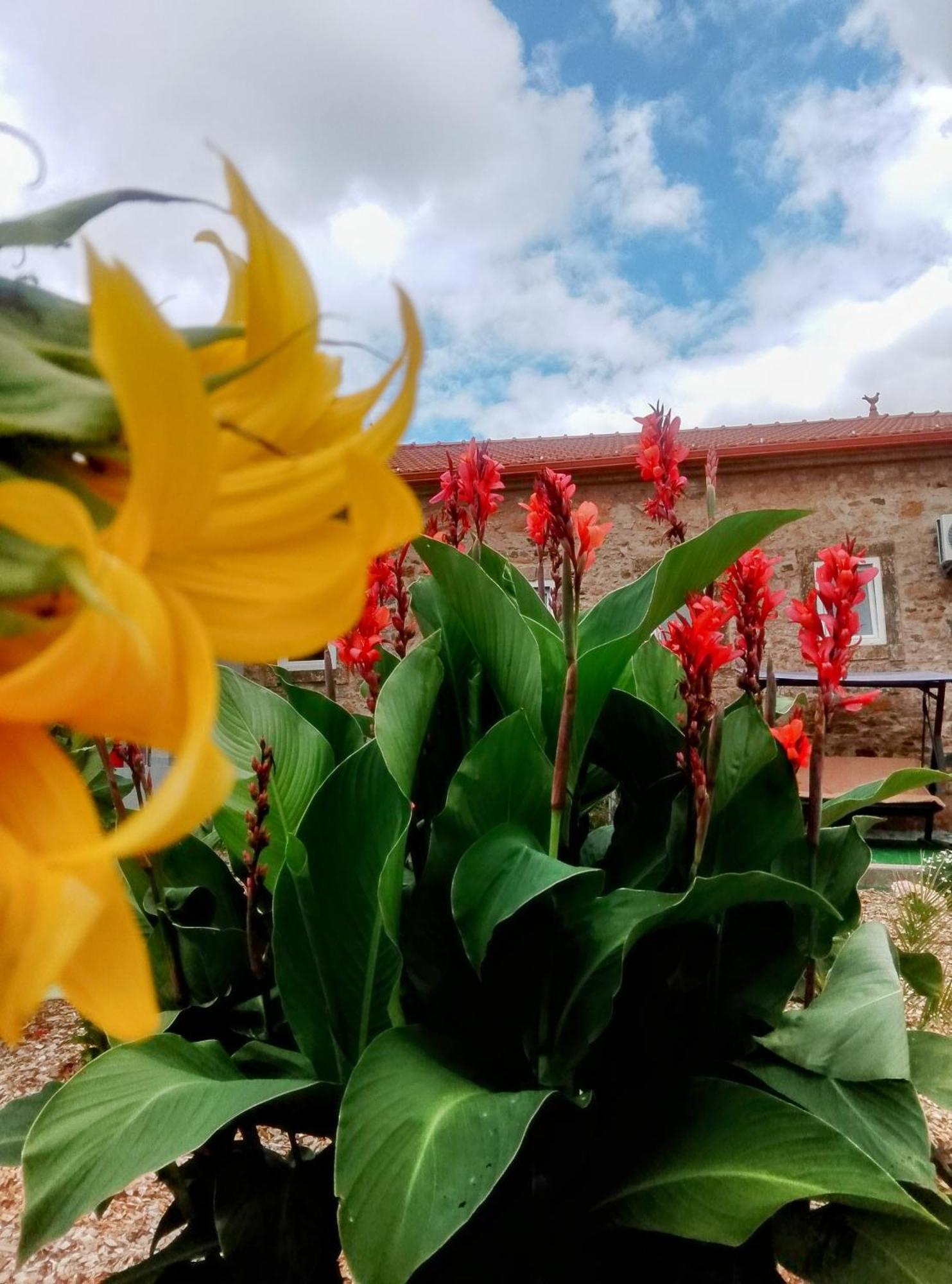 Casa Virginia * Ouzenda
