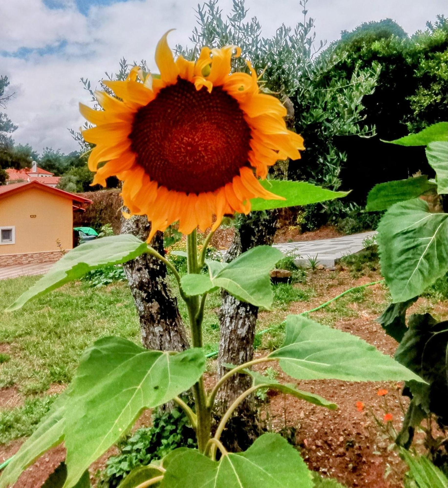 Casa Virginia Ouzenda